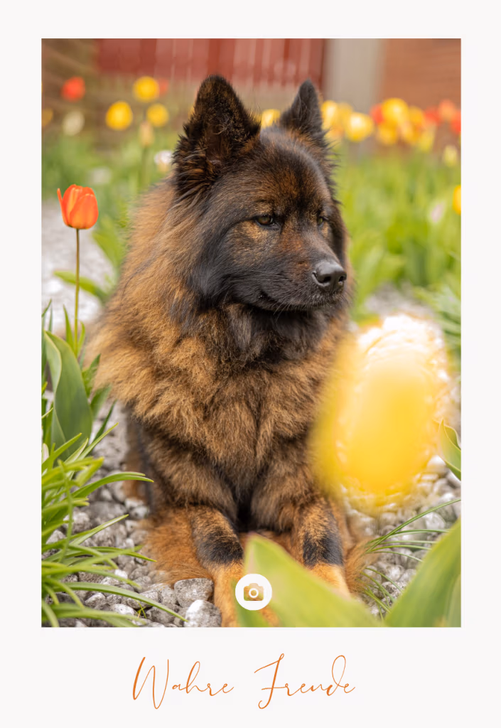 Katja Lehmann_20250728_233229_0010